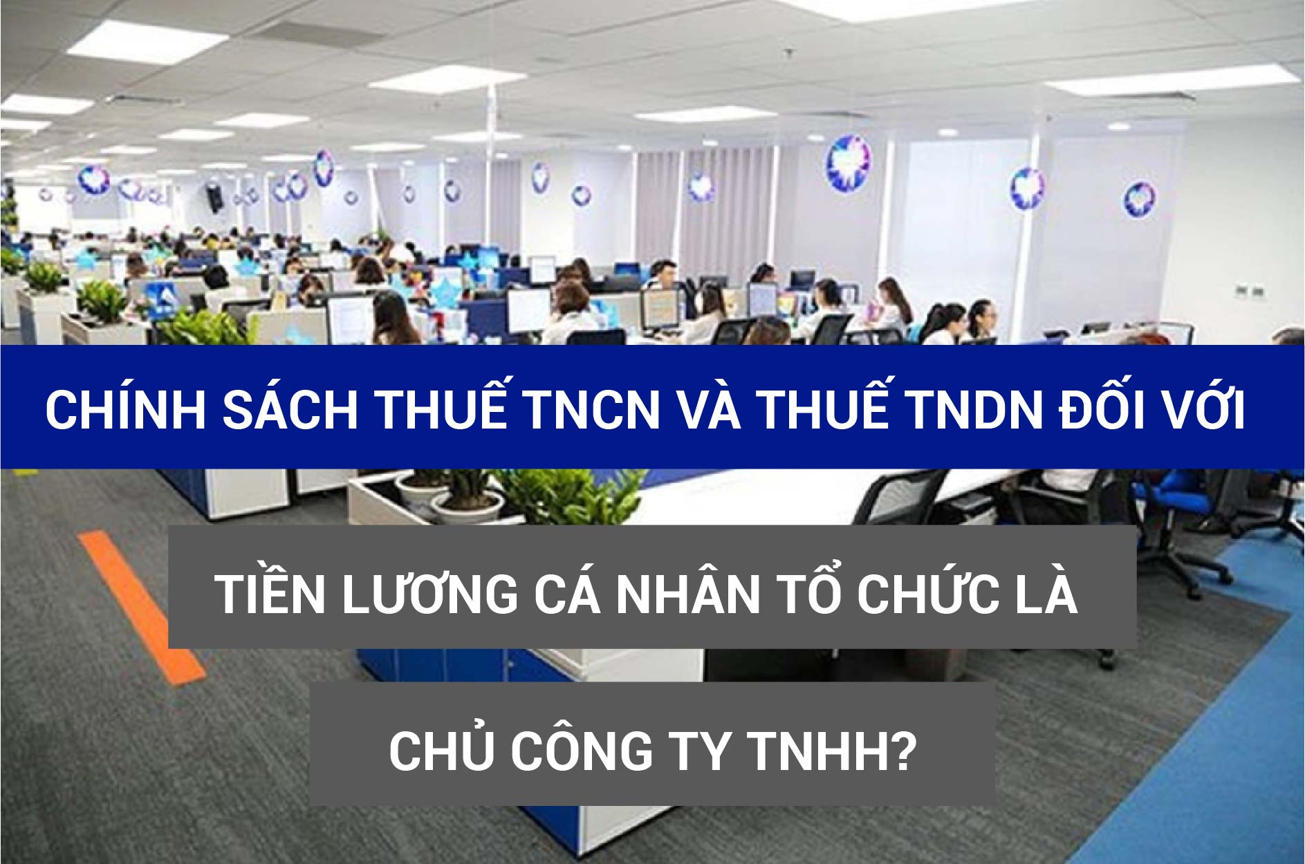 Chính sách thuế TNCN và thuế TNDN đối với tiền lương cá nhân tổ chức là chủ công ty TNHH?